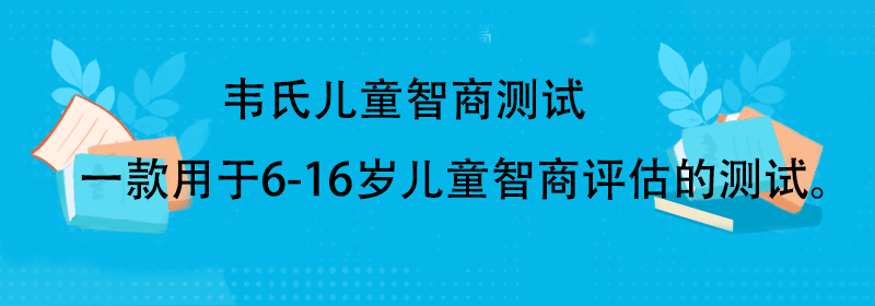 韦氏智商测试题