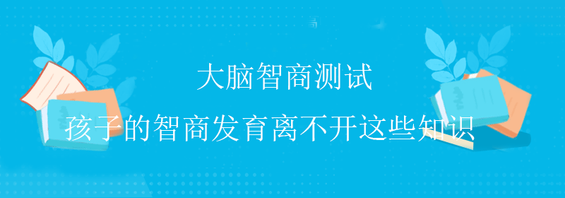 国际智商测试